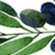 Restoration Counseling Associates